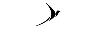 DrunkBird